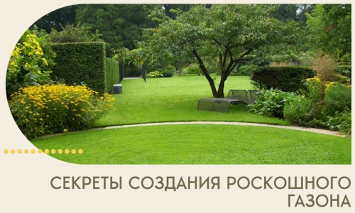 Секреты создания роскошного газона в Белебее