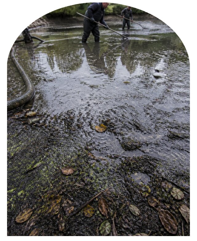 Очистка пруда в Белебее от ила мусора и водорослей с вывозом